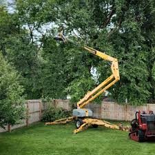 Best Lawn Drainage Solutions  in Moorhead, MS