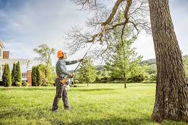 Best Lawn Mowing  in Moorhead, MS