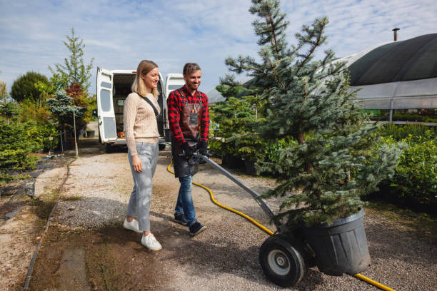 Best Tree Trimming and Pruning  in Moorhead, MS